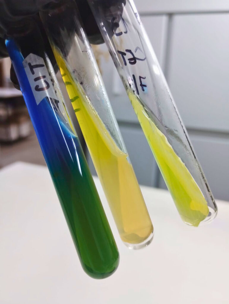 Análisis de aguas laboratorio agropecuario